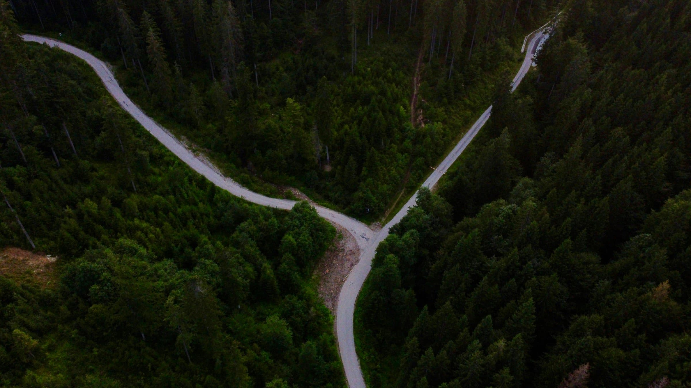 Eine Weggabelung im Nadelwald, von oben gesehen